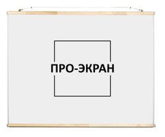 ПРО-ЕКРАН Настінний-стельовий екран 250×188 123 дюймів 4:3